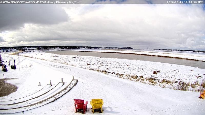 Fundy Discovery Site