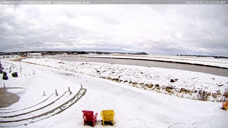 Fundy Discovery Site