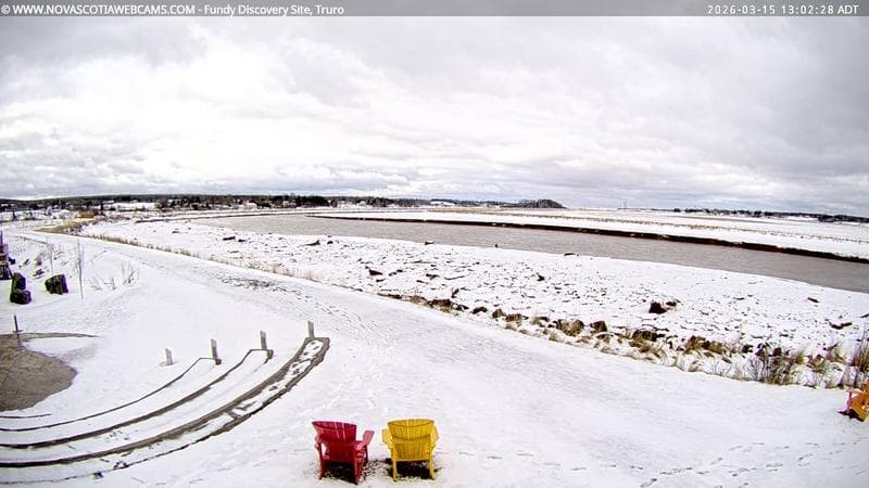 Fundy Discovery Site