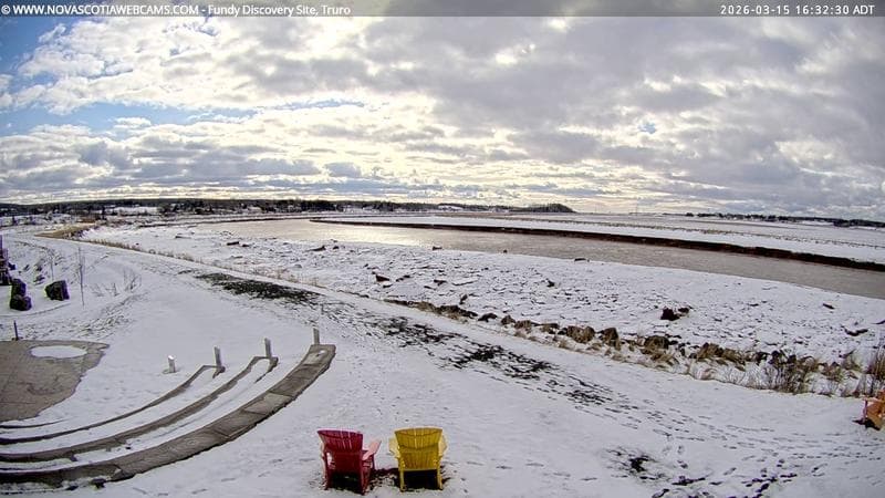 Fundy Discovery Site