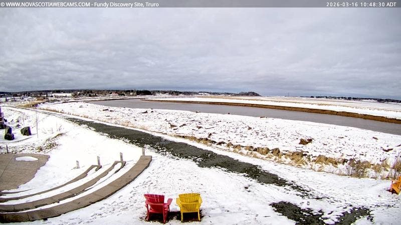 Fundy Discovery Site