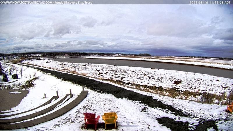 Fundy Discovery Site