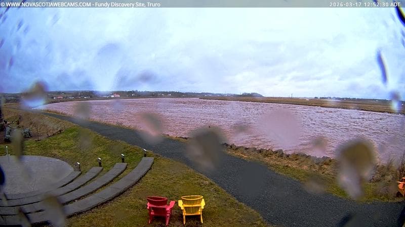 Fundy Discovery Site