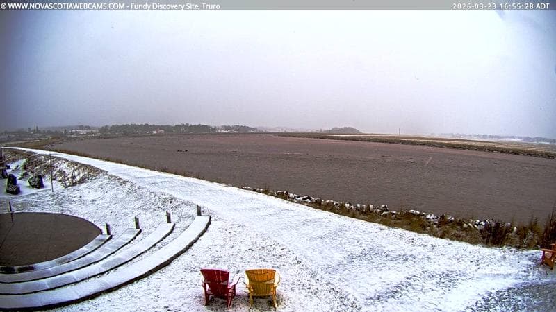 Fundy Discovery Site