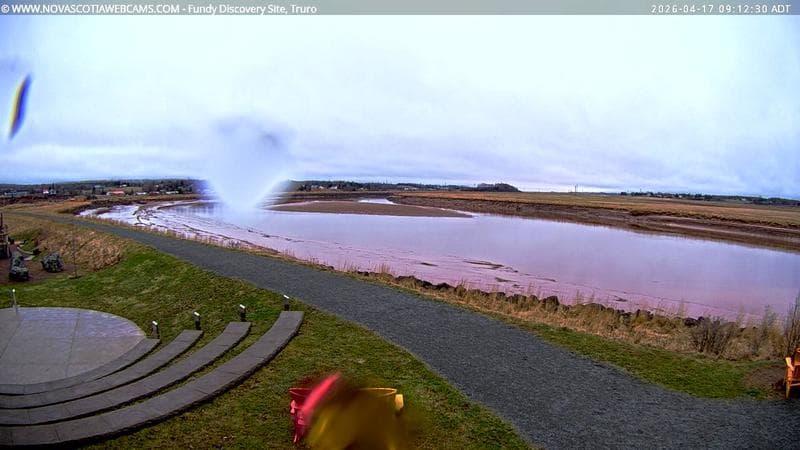 Fundy Discovery Site