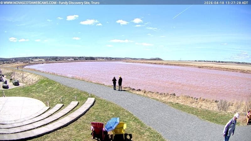 Fundy Discovery Site