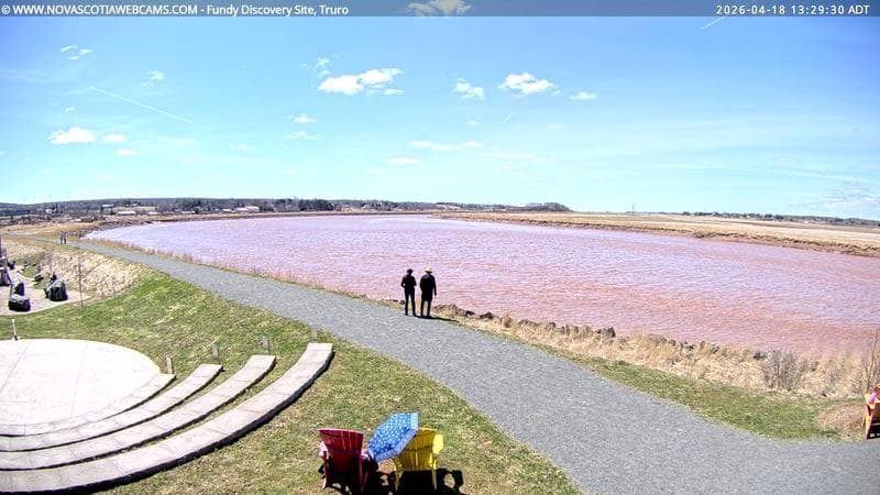 Fundy Discovery Site