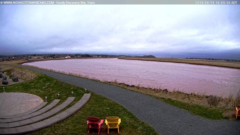 Fundy Discovery Site