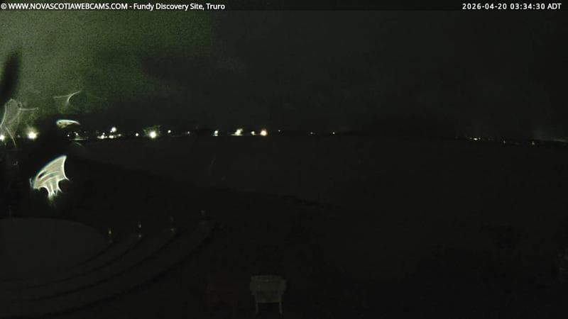 Fundy Discovery Site