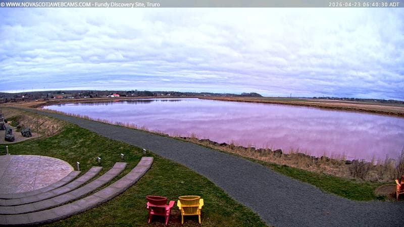 Fundy Discovery Site