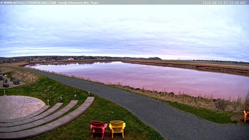Fundy Discovery Site