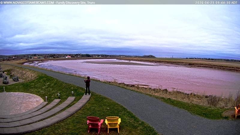 Fundy Discovery Site