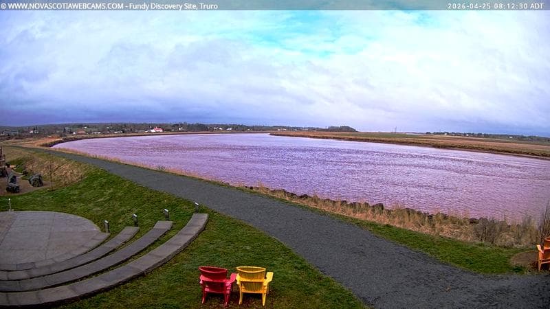 Fundy Discovery Site