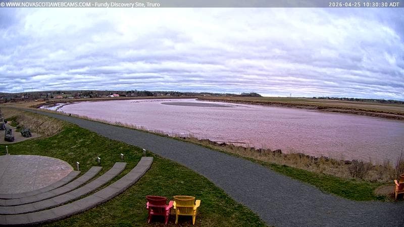Fundy Discovery Site