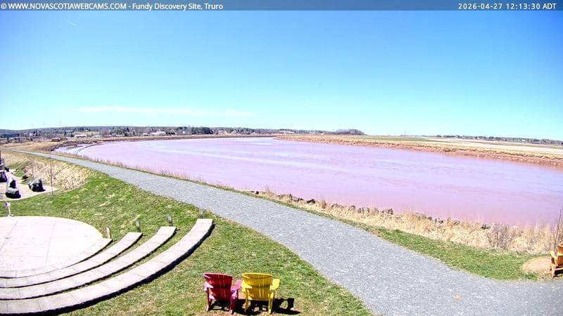 Fundy Discovery Site