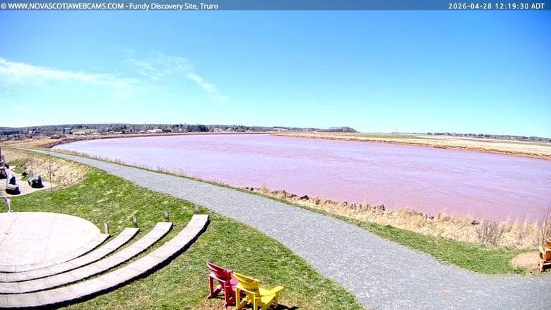 Fundy Discovery Site
