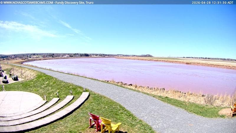 Fundy Discovery Site