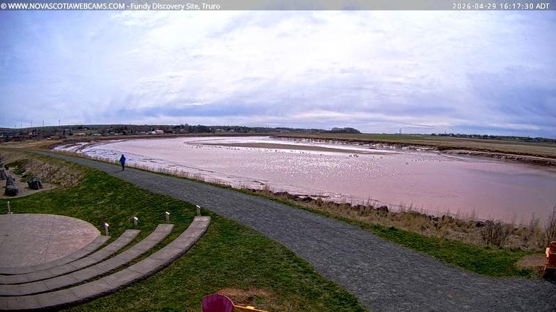 Fundy Discovery Site