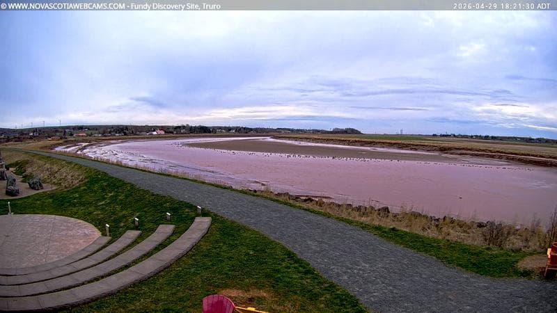 Fundy Discovery Site