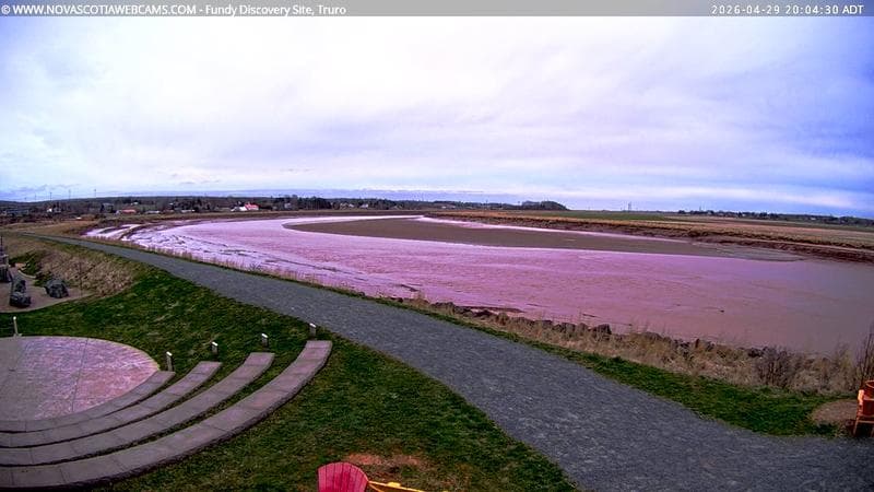 Fundy Discovery Site