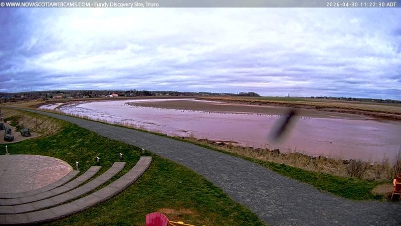 Fundy Discovery Site