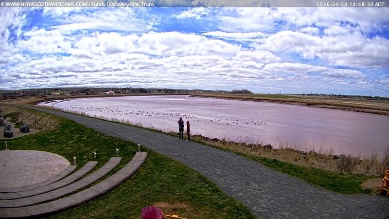 Fundy Discovery Site