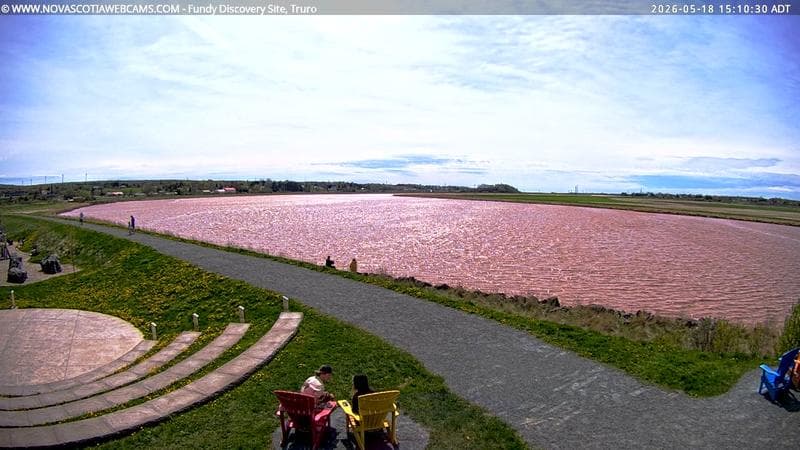 Fundy Discovery Site