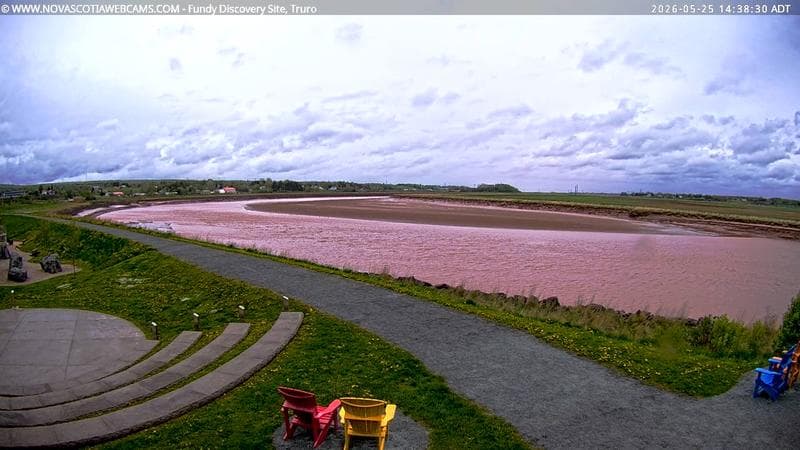 Fundy Discovery Site
