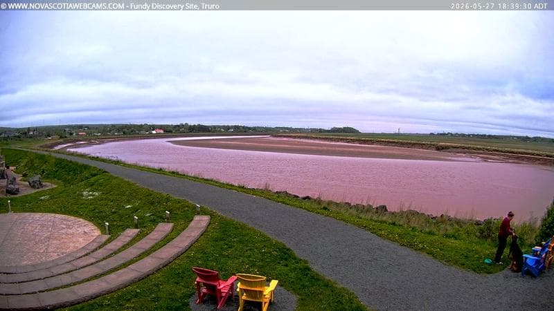 Fundy Discovery Site