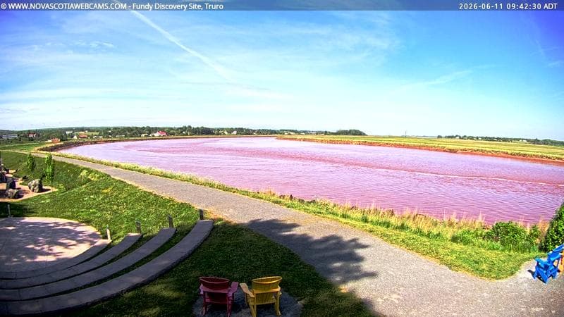 Fundy Discovery Site