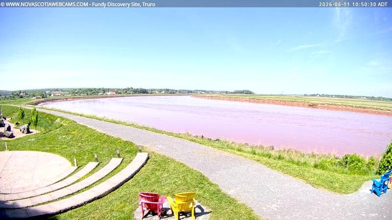 Fundy Discovery Site