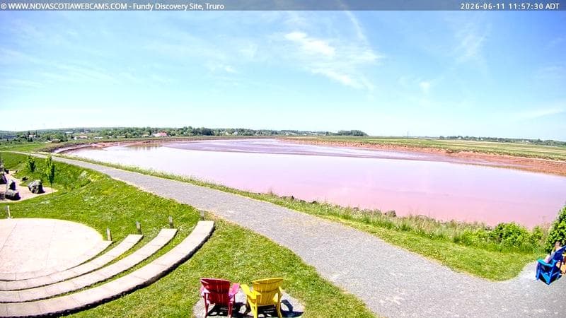Fundy Discovery Site