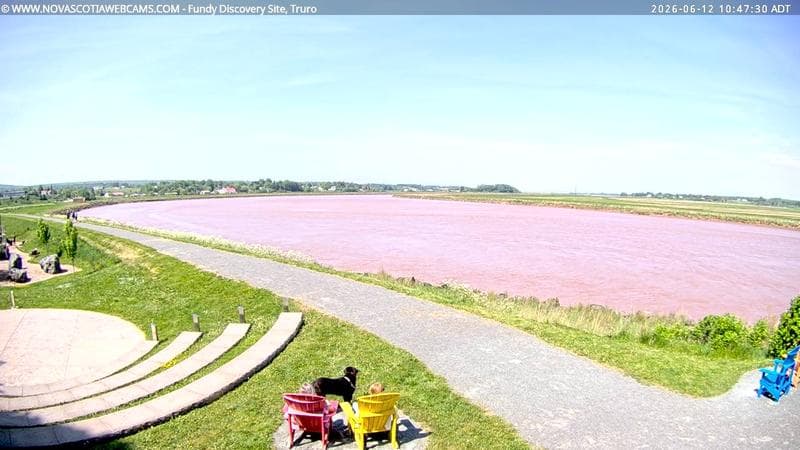 Fundy Discovery Site