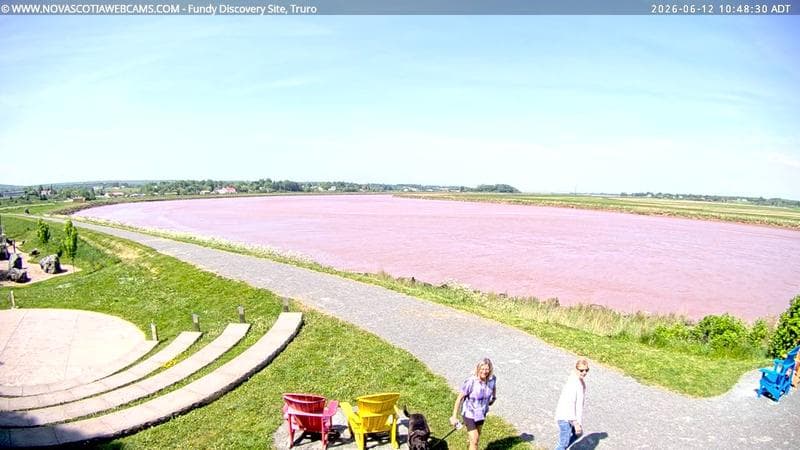 Fundy Discovery Site