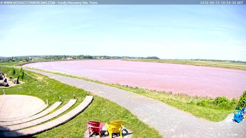Fundy Discovery Site