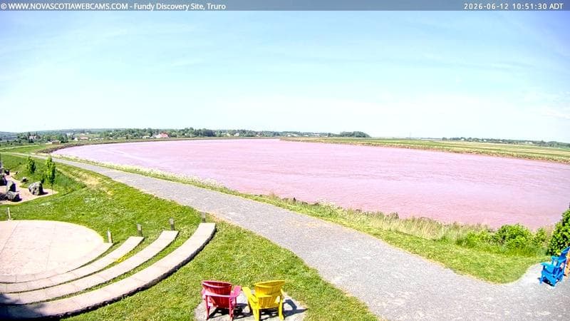 Fundy Discovery Site