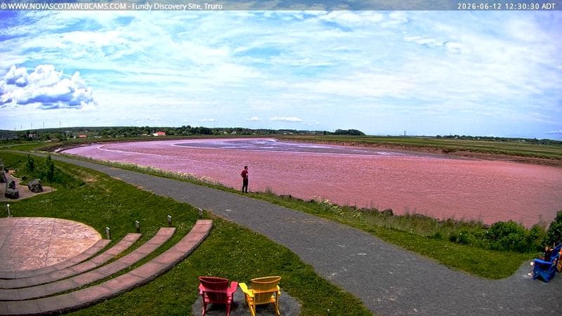 Fundy Discovery Site