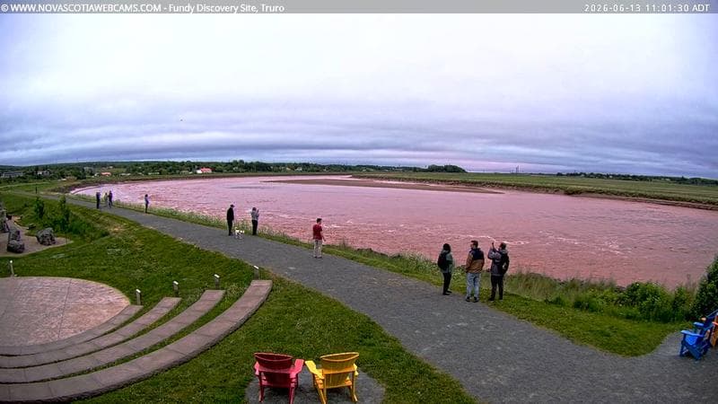 Fundy Discovery Site