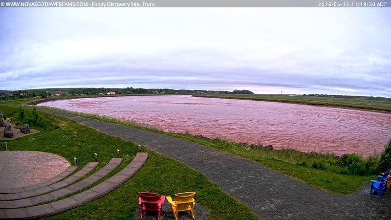 Fundy Discovery Site