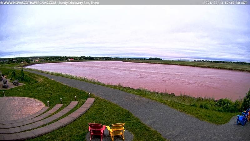 Fundy Discovery Site