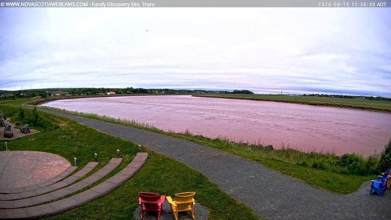 Fundy Discovery Site