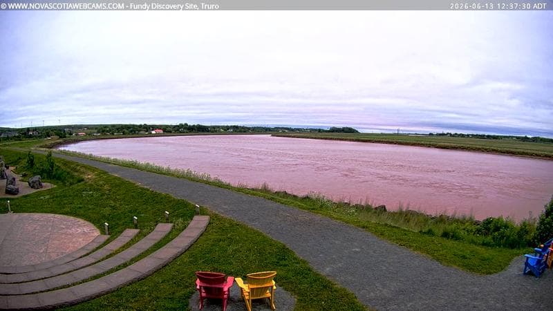 Fundy Discovery Site