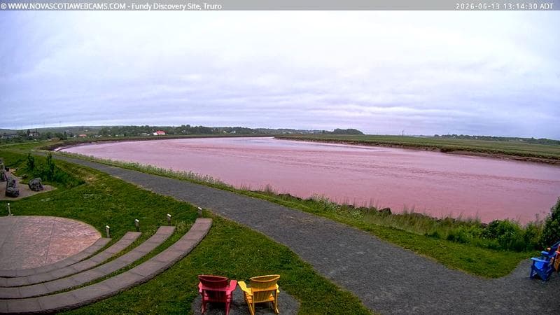Fundy Discovery Site