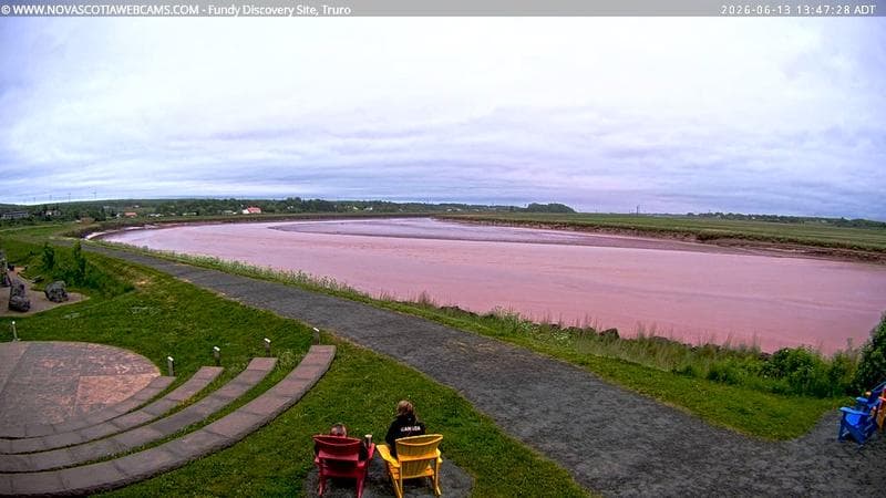 Fundy Discovery Site