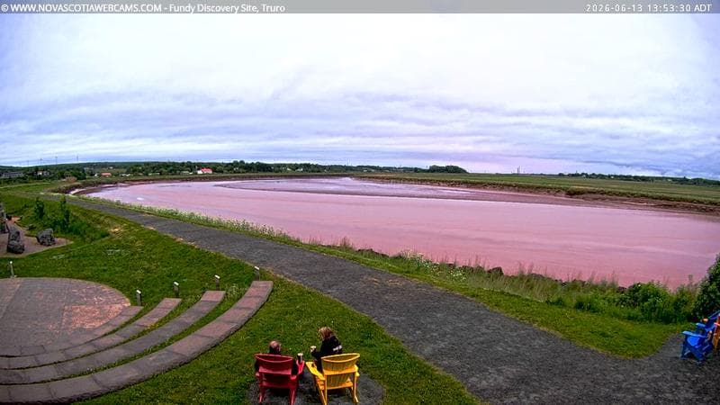 Fundy Discovery Site