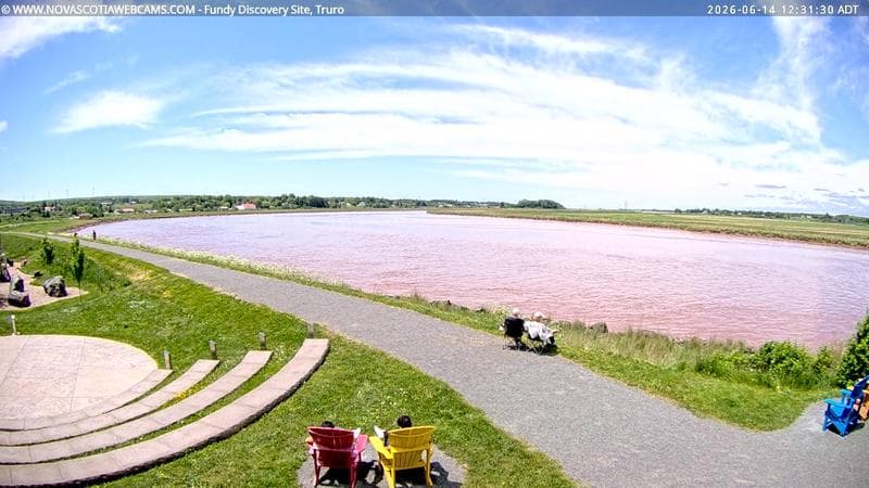 Fundy Discovery Site