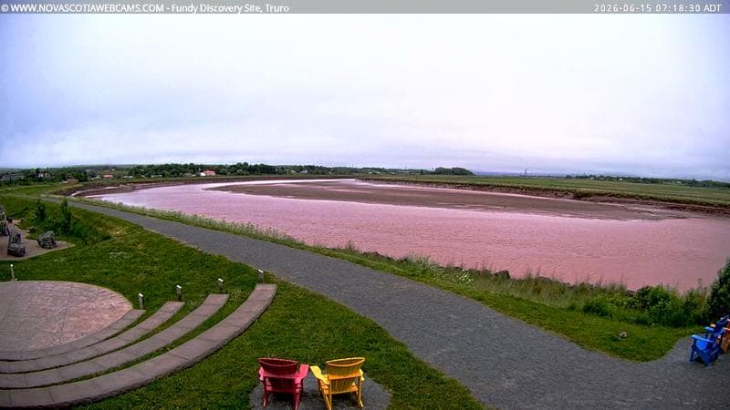 Fundy Discovery Site