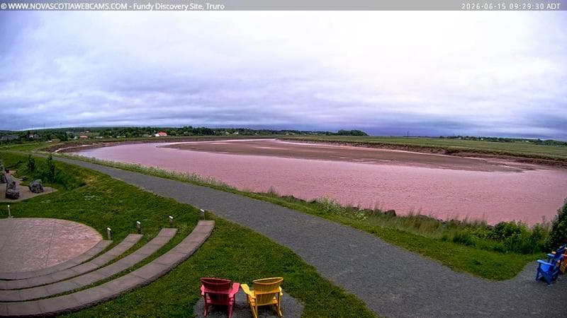 Fundy Discovery Site
