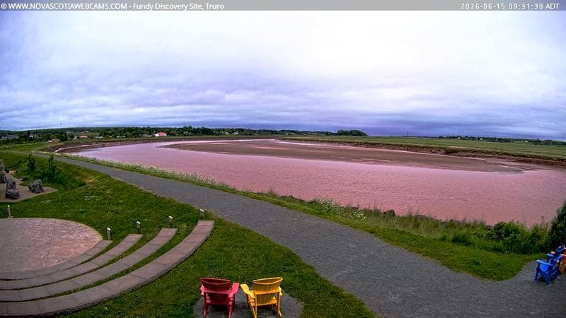 Fundy Discovery Site