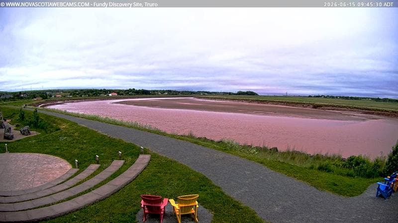 Fundy Discovery Site